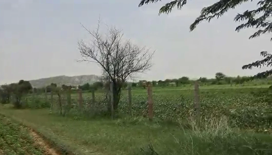 PGPJ+RJ Behroj, Khairthal-Tijara, Rajasthan, India