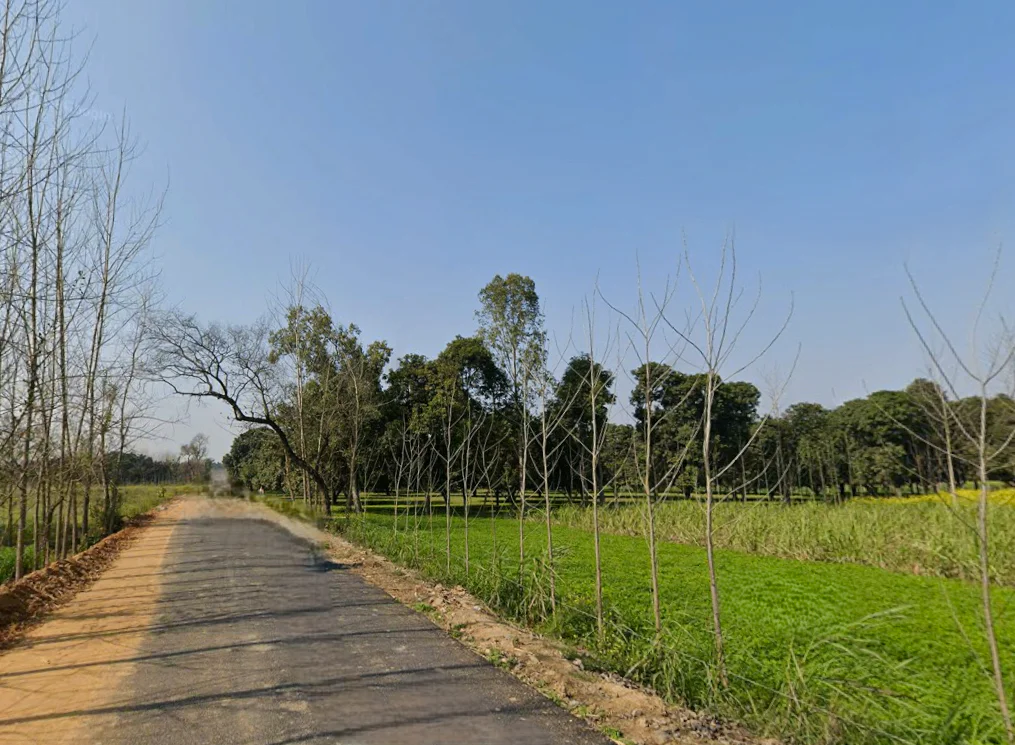 Pilkhani, Uttar Pradesh 247451, India preview 2