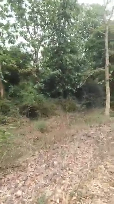 49WJ+RH9, Barabanki, Maraucha Mishri Sing, Uttar Pradesh 225201, India