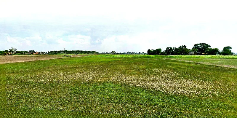 Bareli, Madhya Pradesh, India preview 2