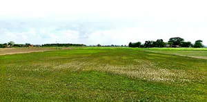 Bareli, Madhya Pradesh, India preview 2