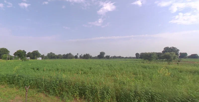 35RC+MP Sachana, Gujarat, India preview 2