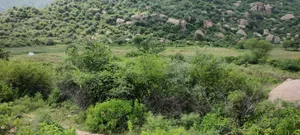Dadhikar, Rajasthan 301001, India preview 3