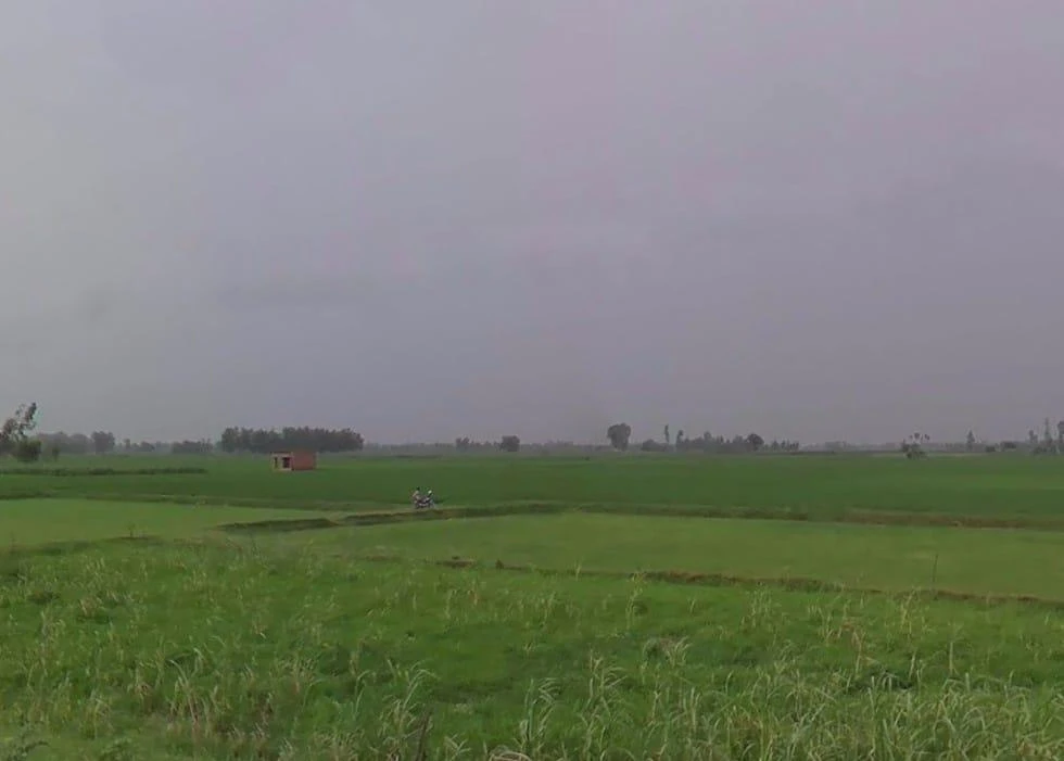 Mojara, Uttar Pradesh, India