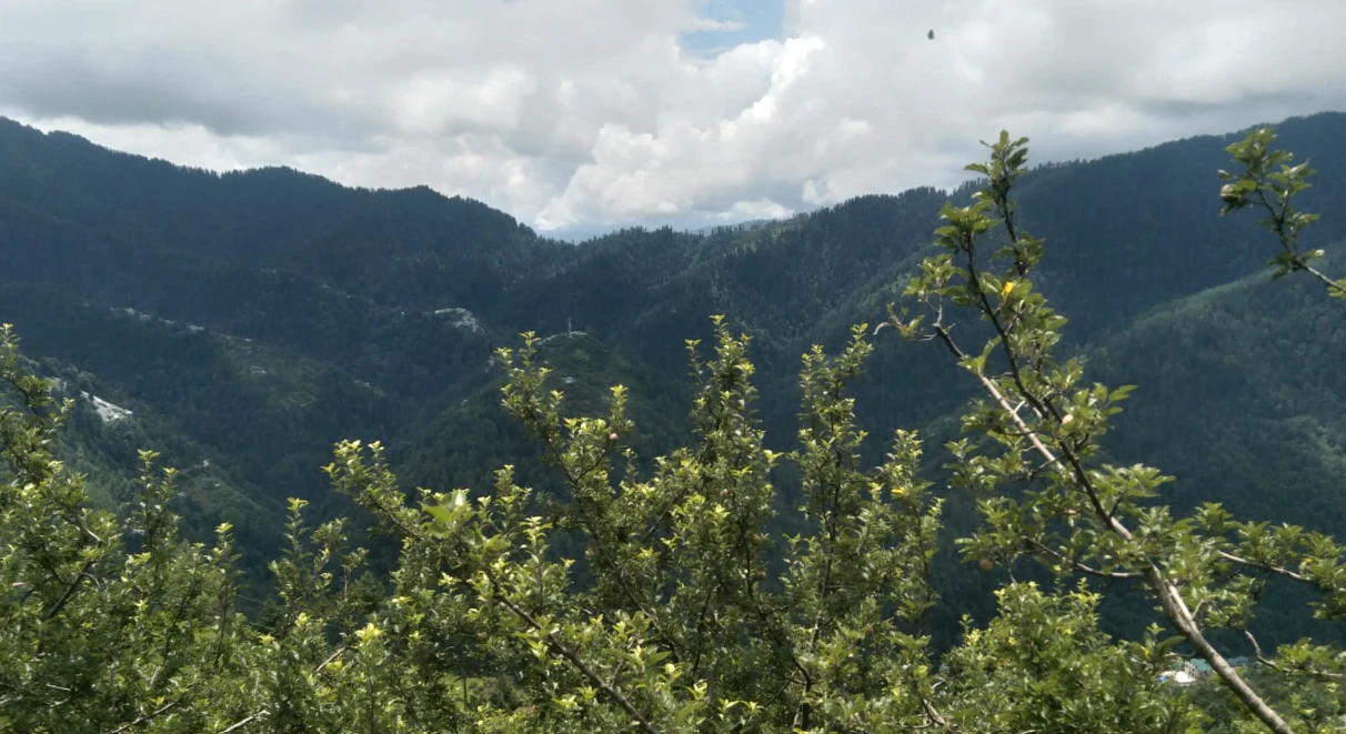 Anni, Kullu, Himachal Pradesh 172026, India
