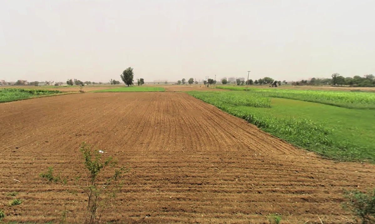 Raiseena, Haryana 122102, India