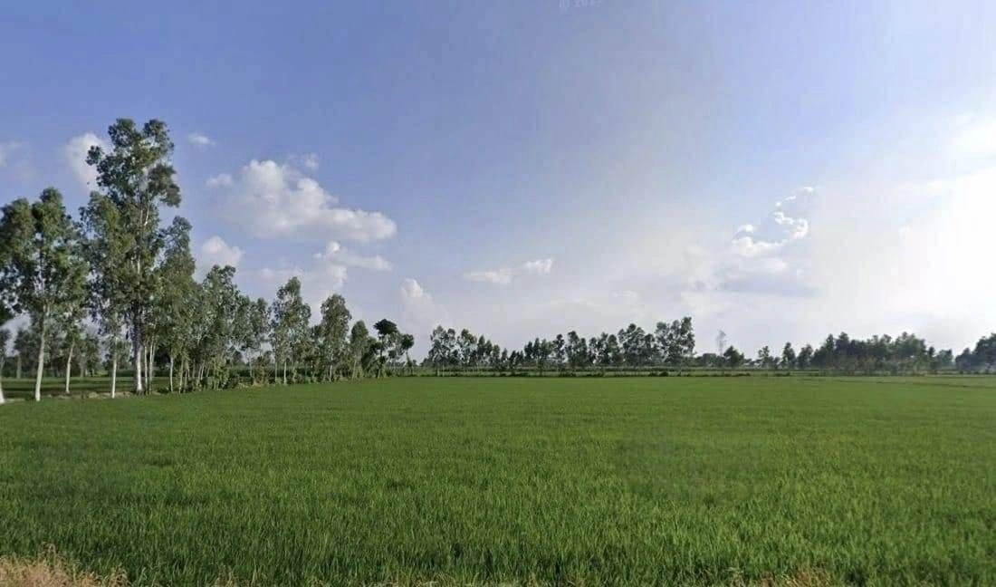 Orchha, Madhya Pradesh 472246, India