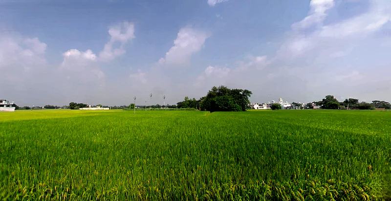 Biharigarh, Uttar Pradesh 247662, India preview 2