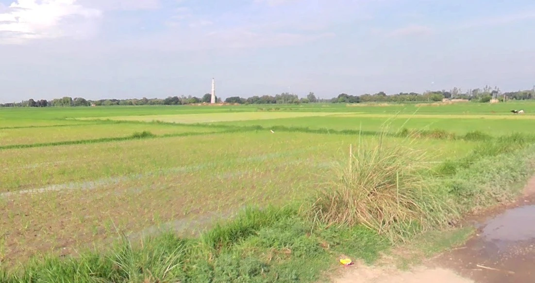 Panthpiplai, Madhya Pradesh 456006, India