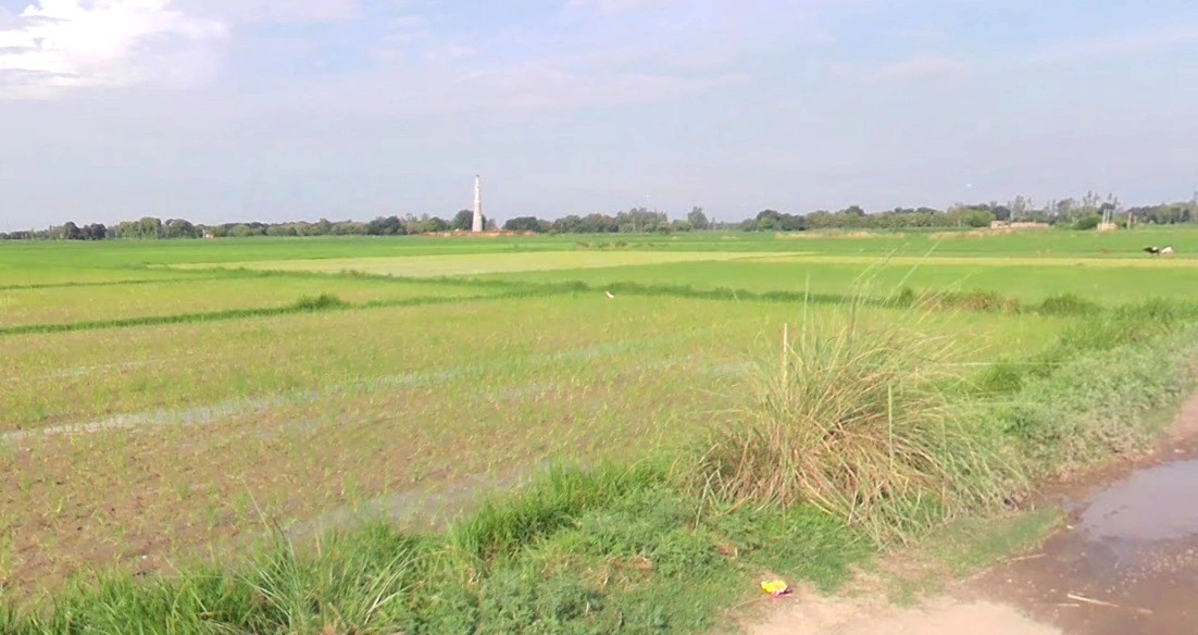 Panthpiplai, Madhya Pradesh 456006, India