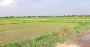 Panthpiplai, Madhya Pradesh 456006, India preview 3