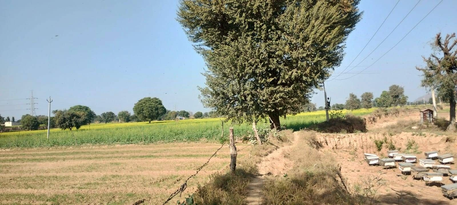 Zahidpur, Jhajjar, Haryana 124103, India