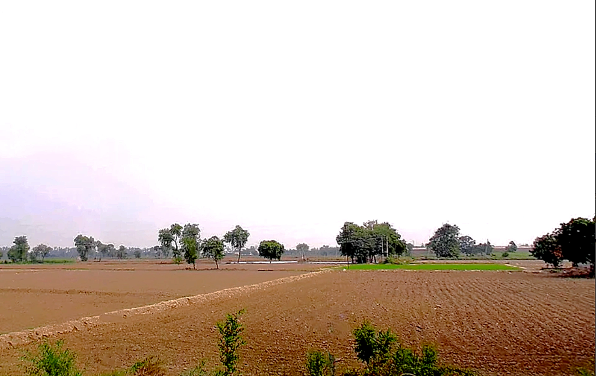 Jind, Haryana, India
