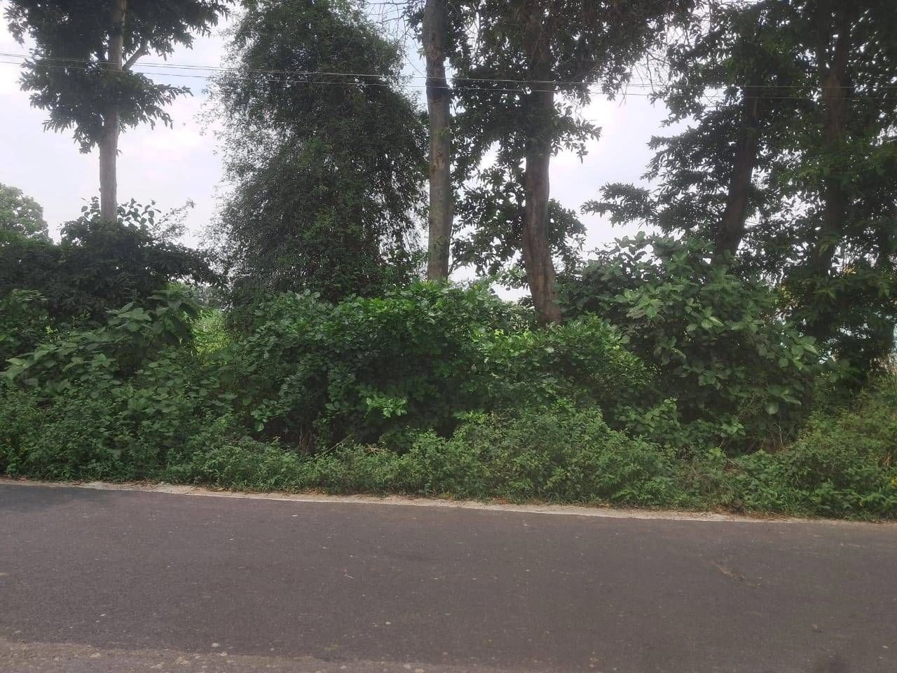P692+9J Dadera, Ayodhya, Uttar Pradesh, India