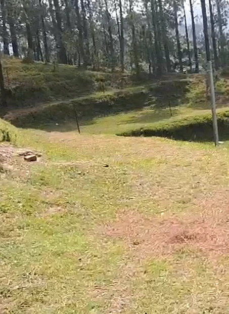 9JMH+XVW, Nainital, Ladfora Malla, Uttarakhand 263136, India