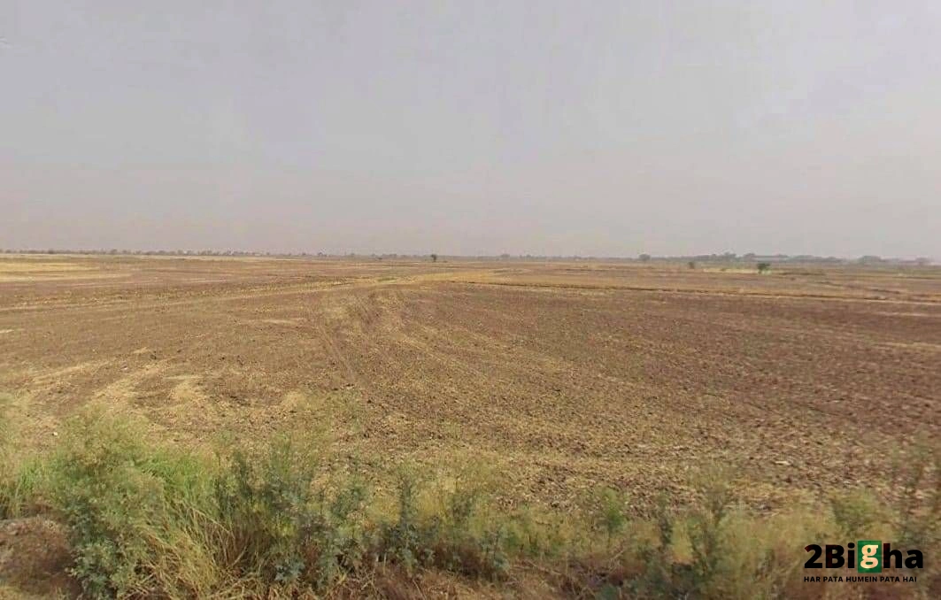 Khatauli, Uttar Pradesh 251201, India