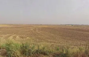 Khatauli, Uttar Pradesh 251201, India preview 3