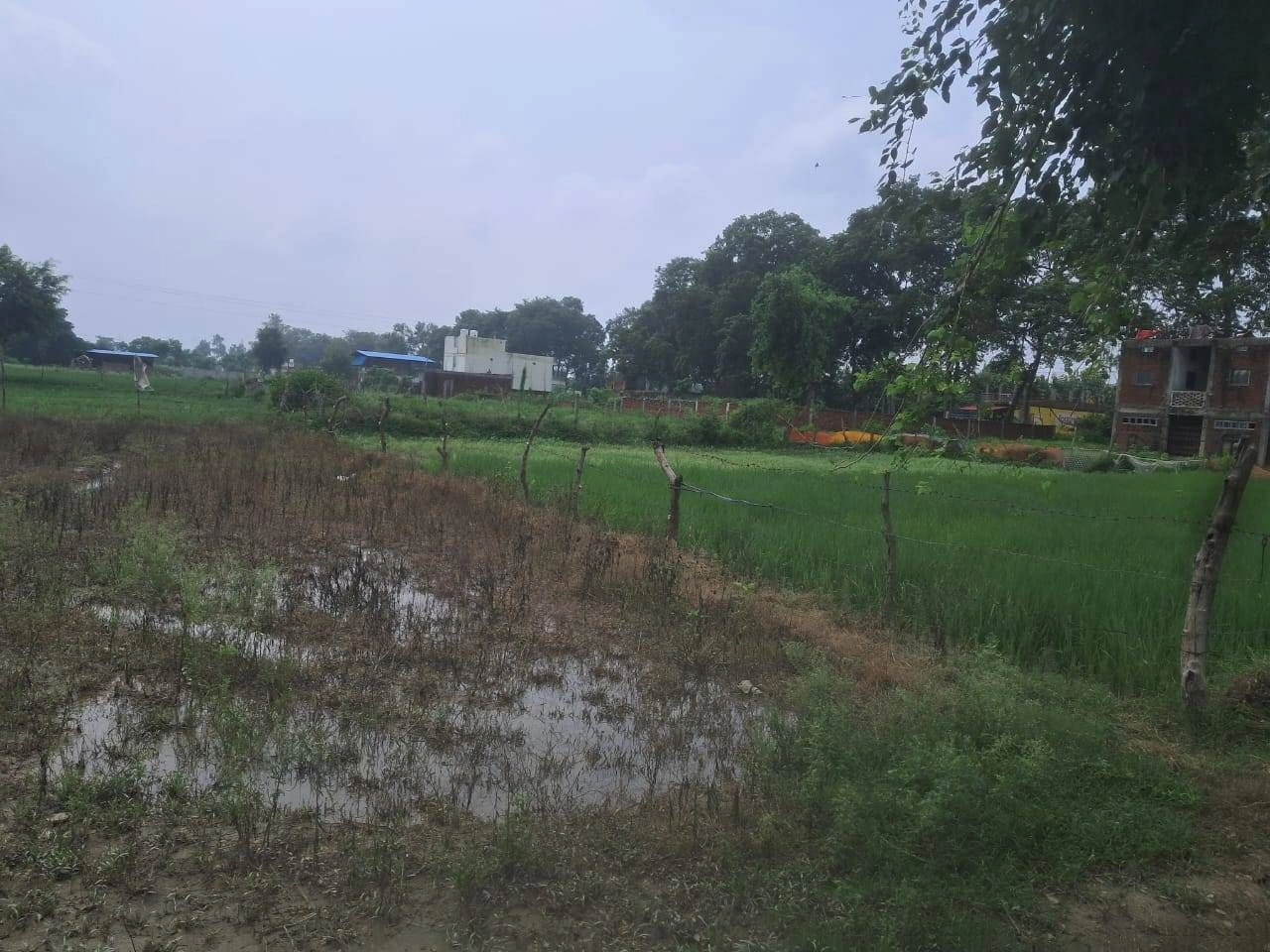 R6R9+7R Fatepur, Gonda, Uttar Pradesh, India