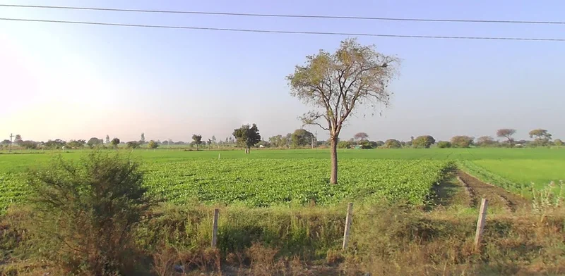 Indore, Madhya Pradesh, India preview 3