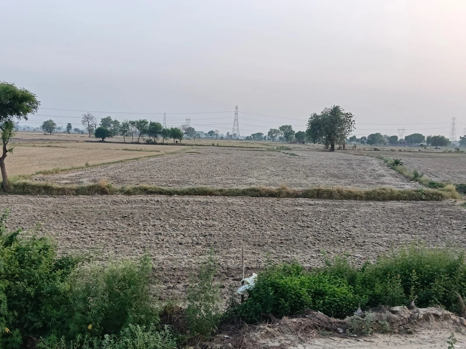 Pipli, Uttar Pradesh 202165, India