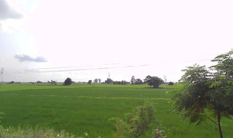 Badhni, Badhni Kalan, Punjab 142037, India