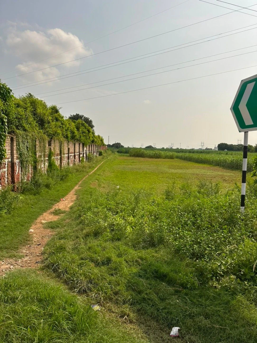 2R7P+947, Barodiya Khan, Madhya Pradesh 453551, India