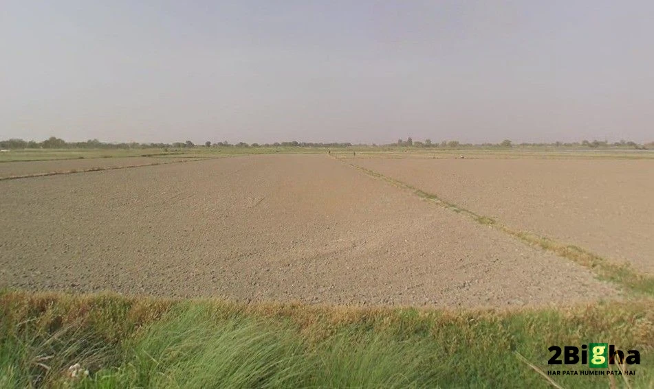 Sector 17A, Gautam Buddha Nagar, Uttar Pradesh 203201, India