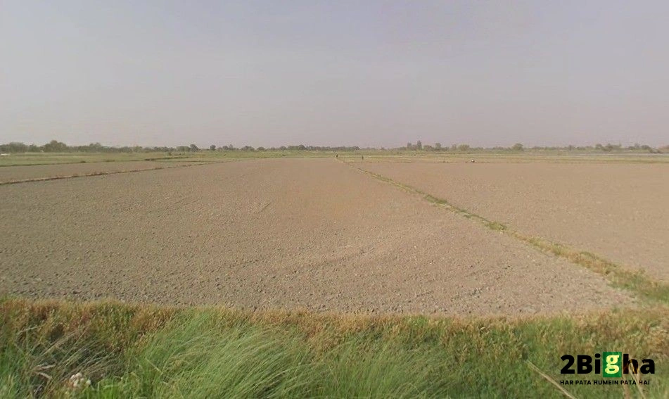 Sector 17A, Gautam Buddha Nagar, Uttar Pradesh 203201, India