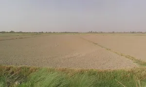 Sector 17A, Gautam Buddha Nagar, Uttar Pradesh 203201, India preview 3
