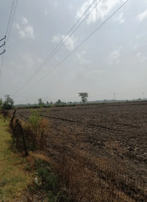 Barnagar, Madhya Pradesh 456771, India