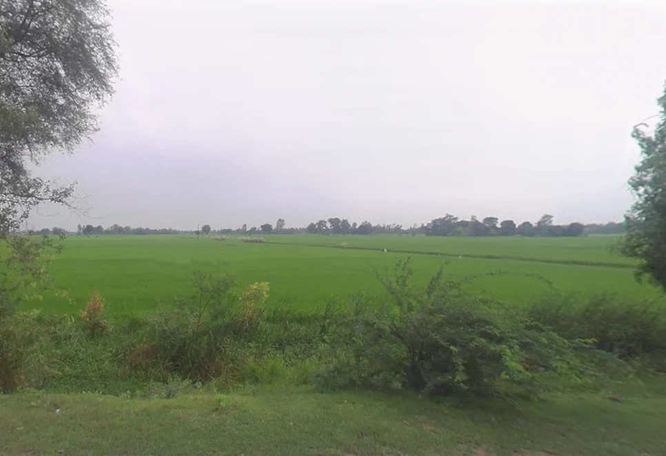 Bachhrawan, Uttar Pradesh 229301, India