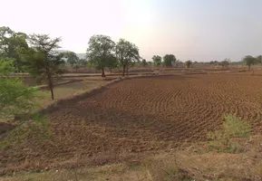 Jhalap, Chhattisgarh 493551, India preview 3