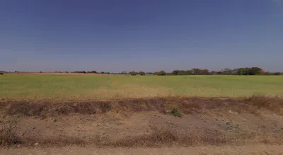 Nabadwip, West Bengal, India preview 3