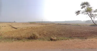 Barajaguli, West Bengal, India preview 3