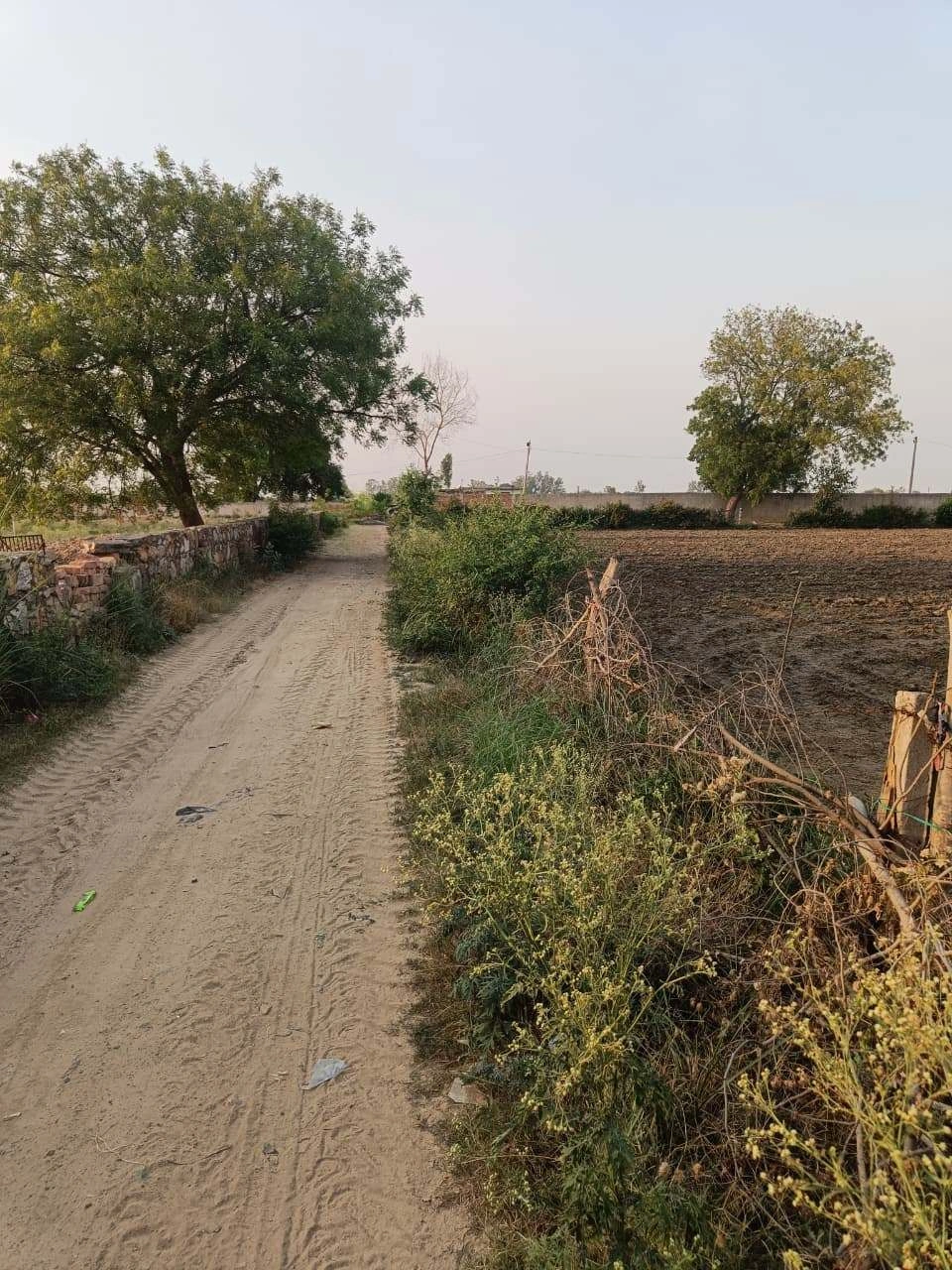Chandauri, Uttar Pradesh, India