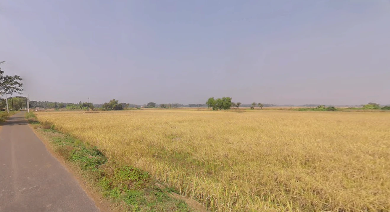 Sakhigopal, Odisha 752014, India