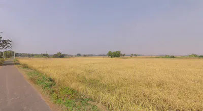 Sakhigopal, Odisha 752014, India preview 2