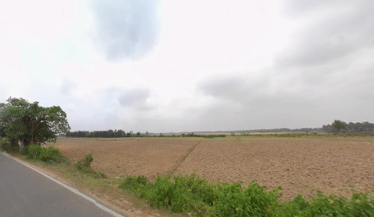 Jagannath Temple Rd, Bali Sahi, Puri, Odisha 752001, India preview 2