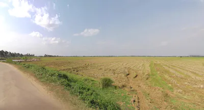 Delang, Odisha 752016, India preview 2