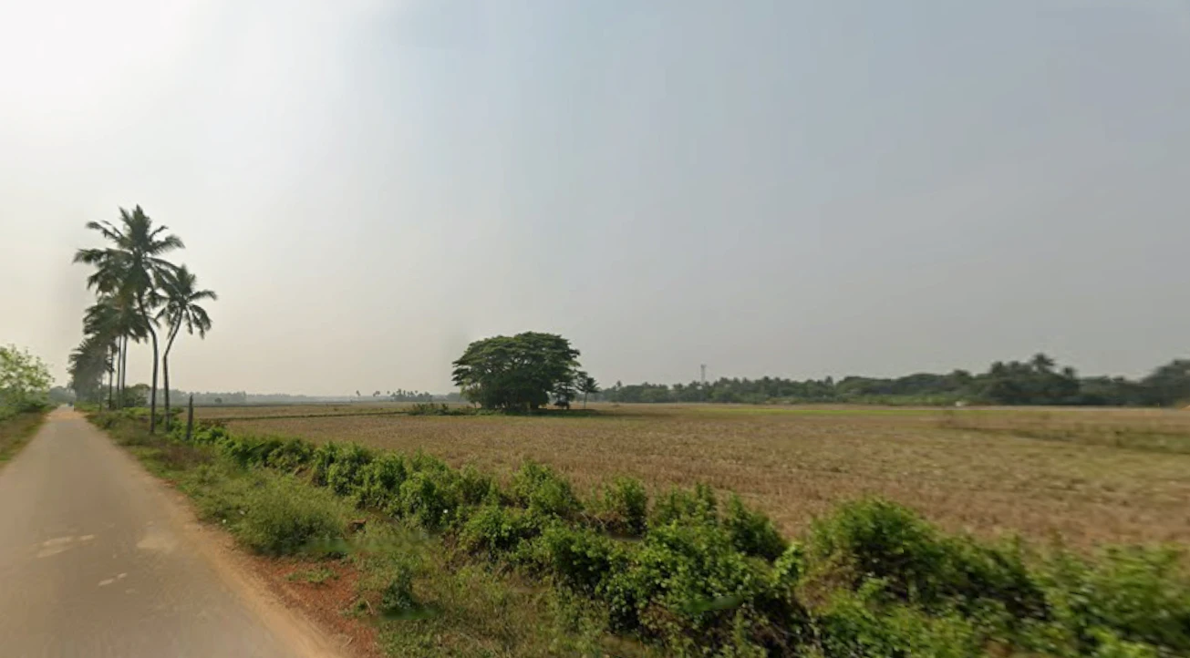 Gudia Pokhari, Odisha 752104, India