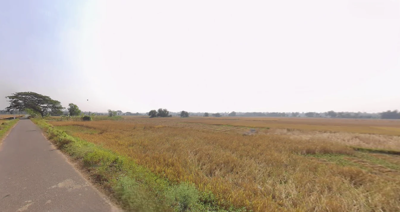 Sakhigopal, Odisha 752014, India