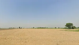 Moga, Punjab, India preview 3