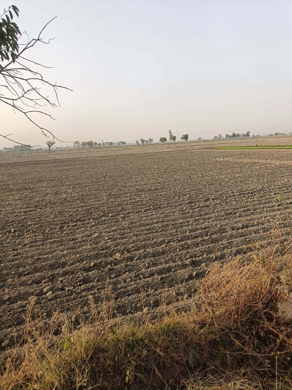 Tentigaon, Uttar Pradesh, India
