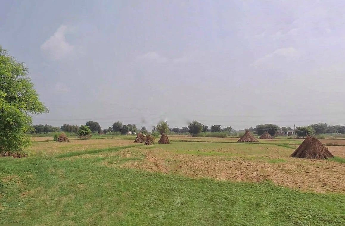 FR49+99M, Ghat, Rajasthan 301001, India