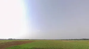 Laxminarayanpur, Odisha, India preview 2