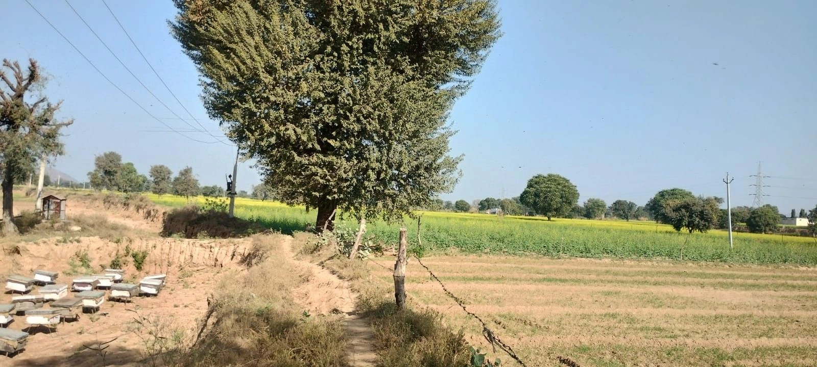 FX43+QRJ, Jalooki, Rajasthan 321205, India