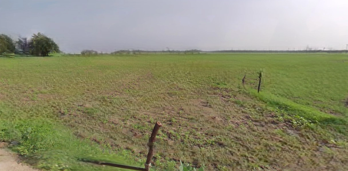 Jhajjar, Haryana 124103, India