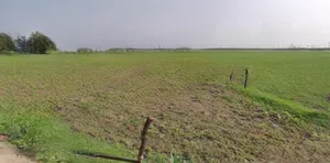 Jhajjar, Haryana 124103, India preview 2