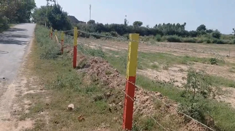 Hangoli, Haryana 134204, India