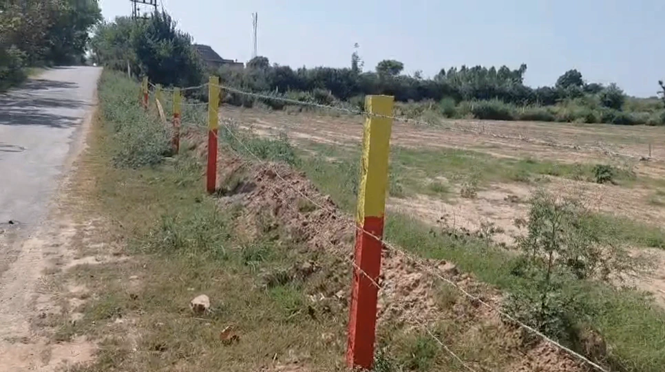 Hangoli, Haryana 134204, India